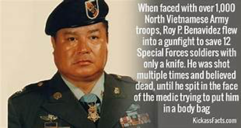 Roy P. Benavidez